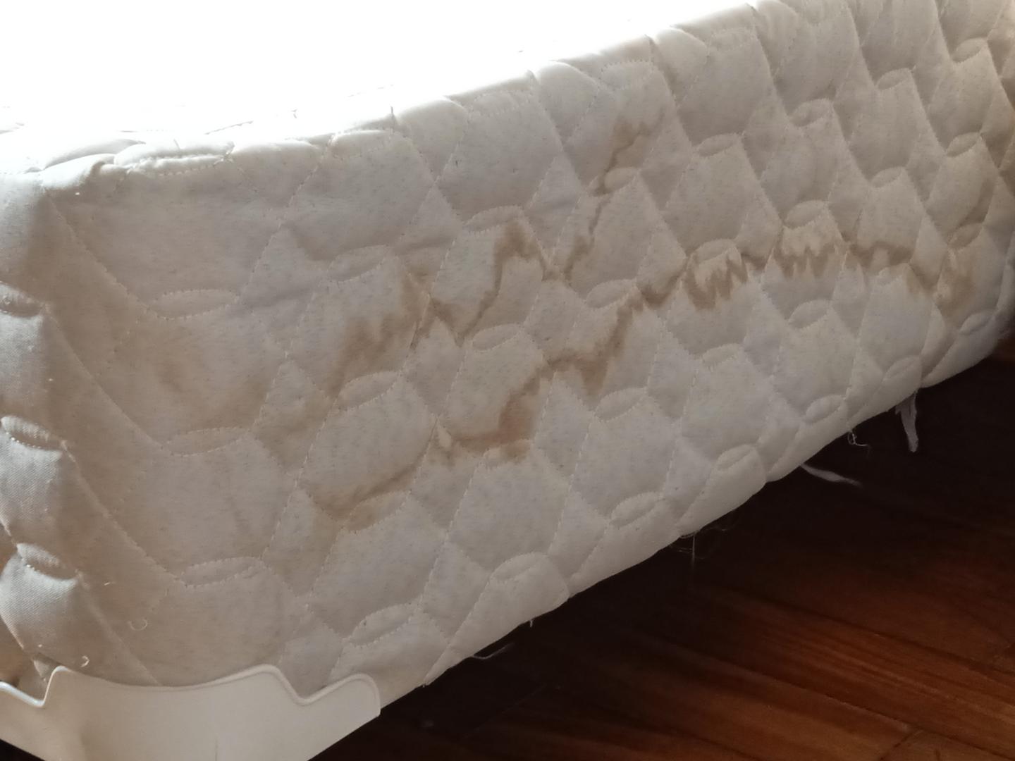 Cama box de solteiro em Tecido / Madeira Bege 35 cm x 188 cm x 87 cm