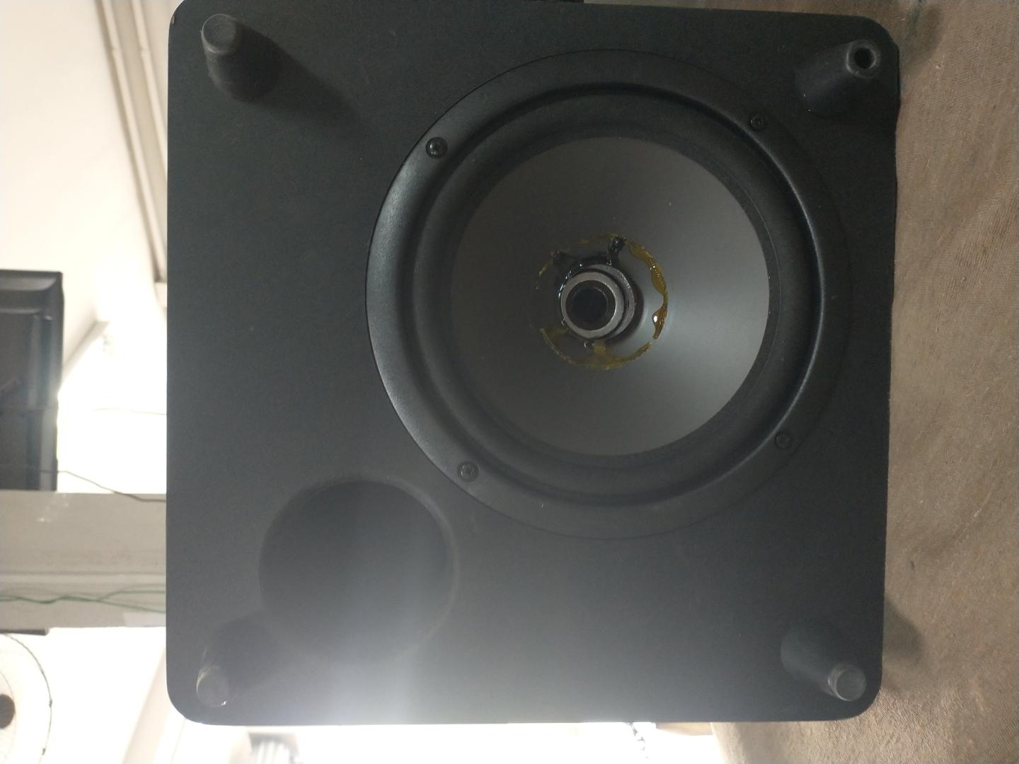 Caixa de som Subwoofer  Polkaudio TL1600 Preto