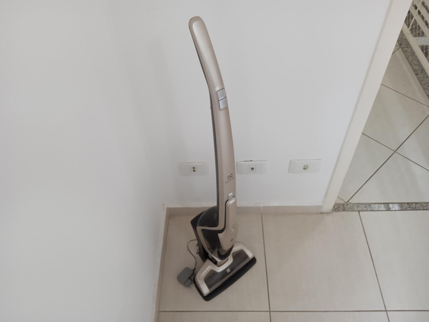 Aspirador de pó Electrolux ergorapido em Plástico Cinza 110 cm x 29 cm x 18 cm