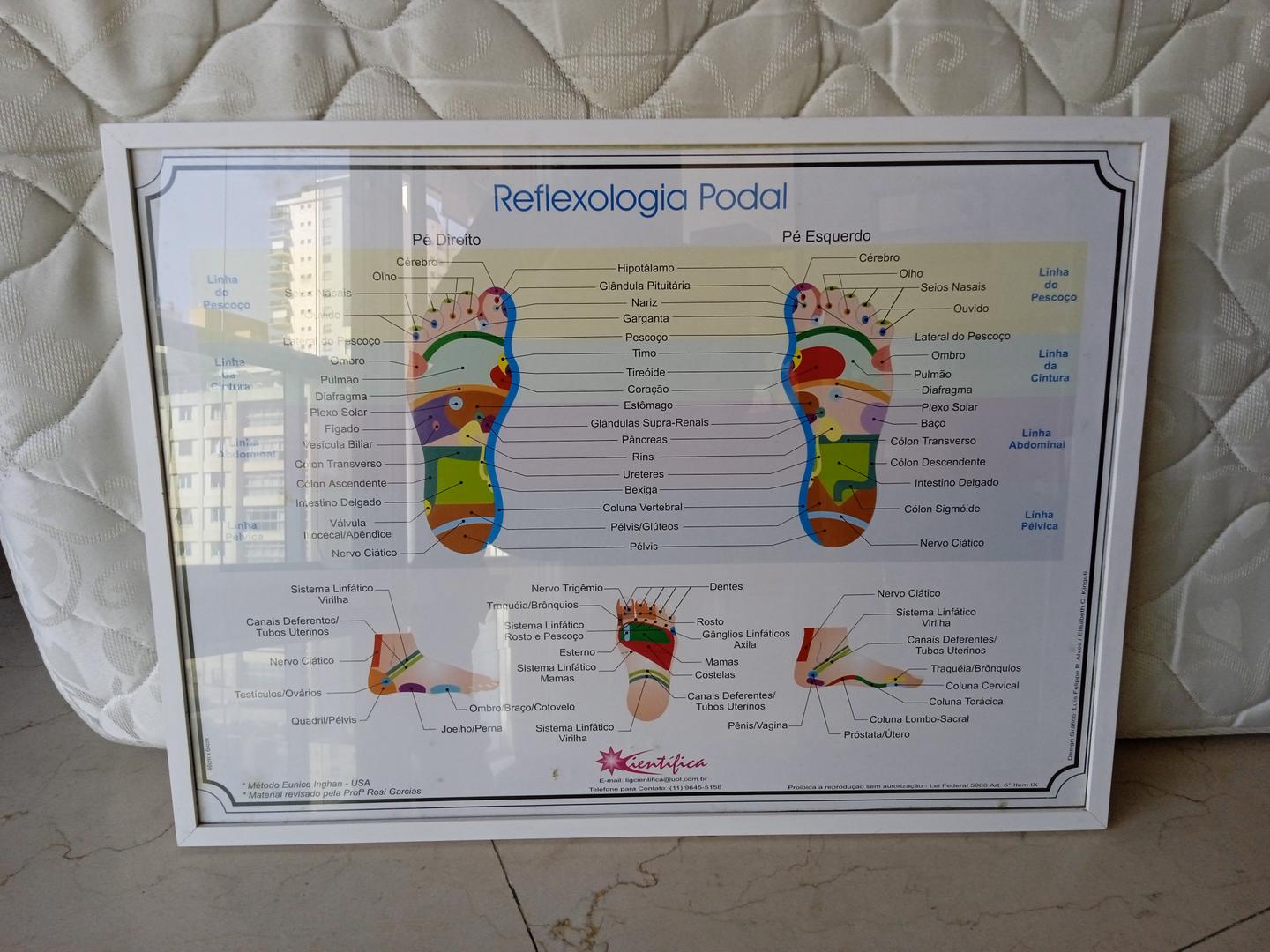 Quadro / Tela / Pintura c/ moldura Reflexologia Podal em Tela / MDF Branco