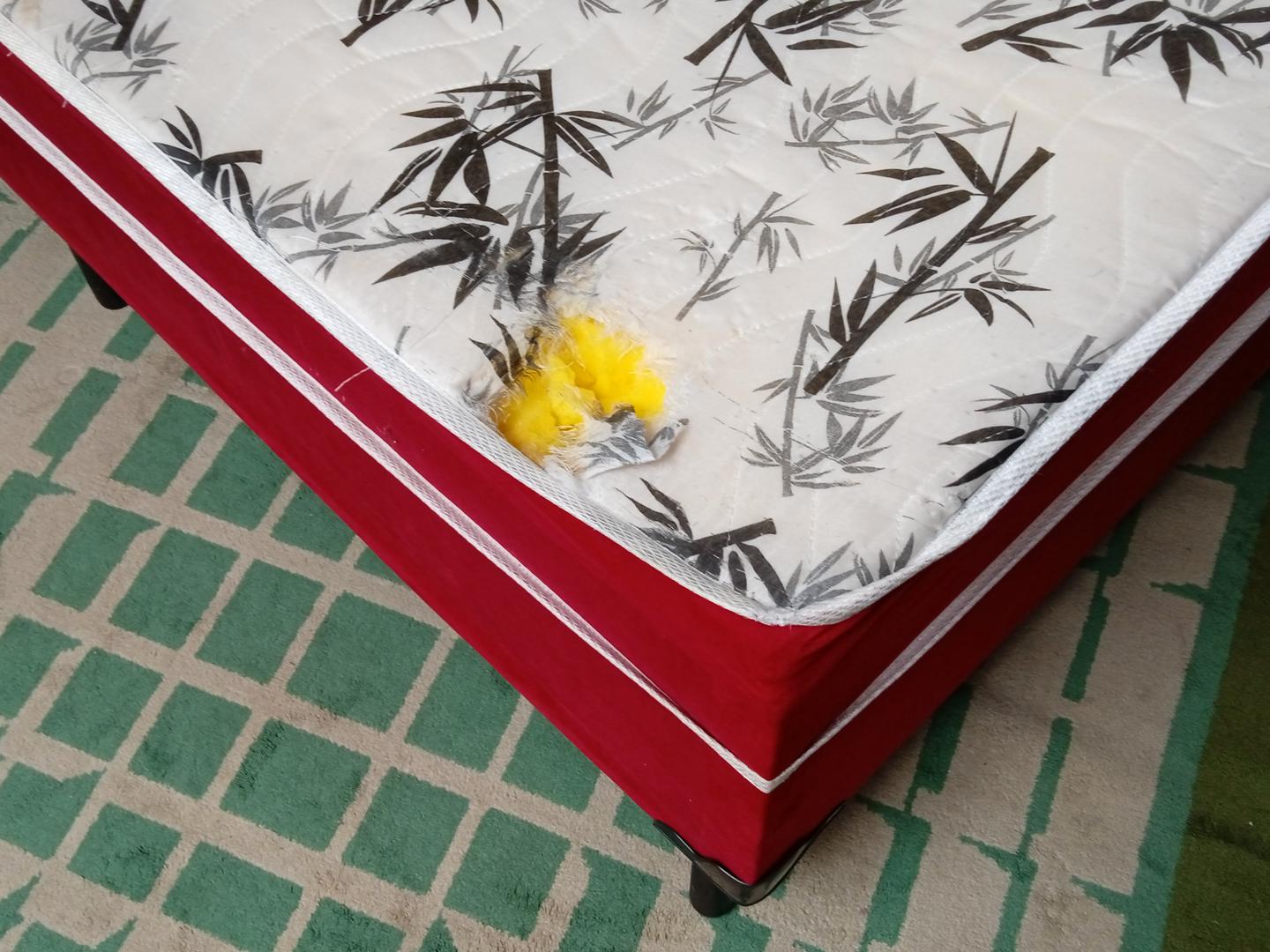 Cama box de casal padrão em Tecido Vermelho 50 cm x 190 cm x 132 cm