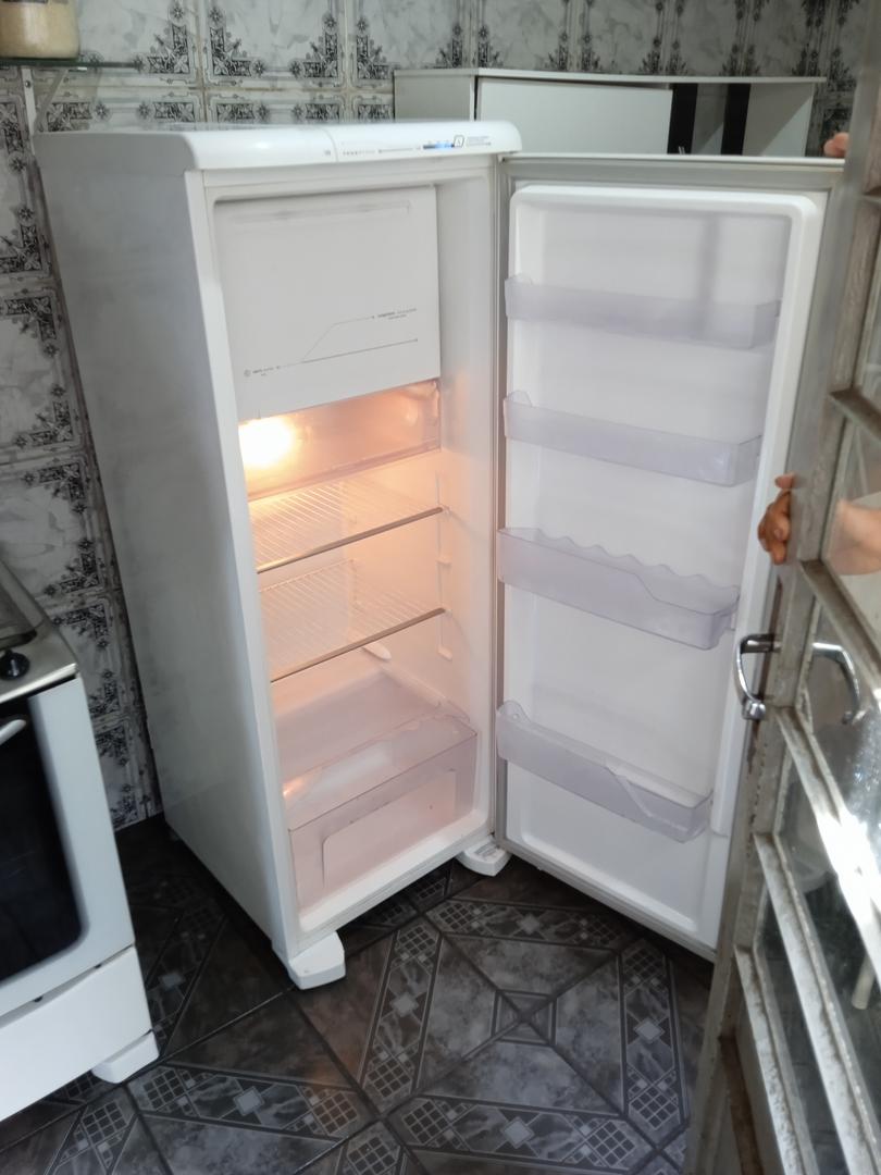 Geladeira Electrolux RFE39 em Aço / Plástico Branco 160 cm x 60 cm x 64 cm